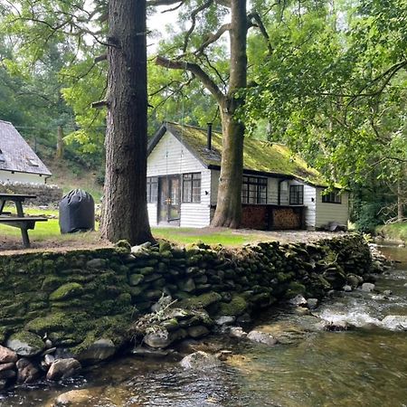 Cuckoo Cabin, Tyn Y Cwm Eglwys-Fach Exteriér fotografie